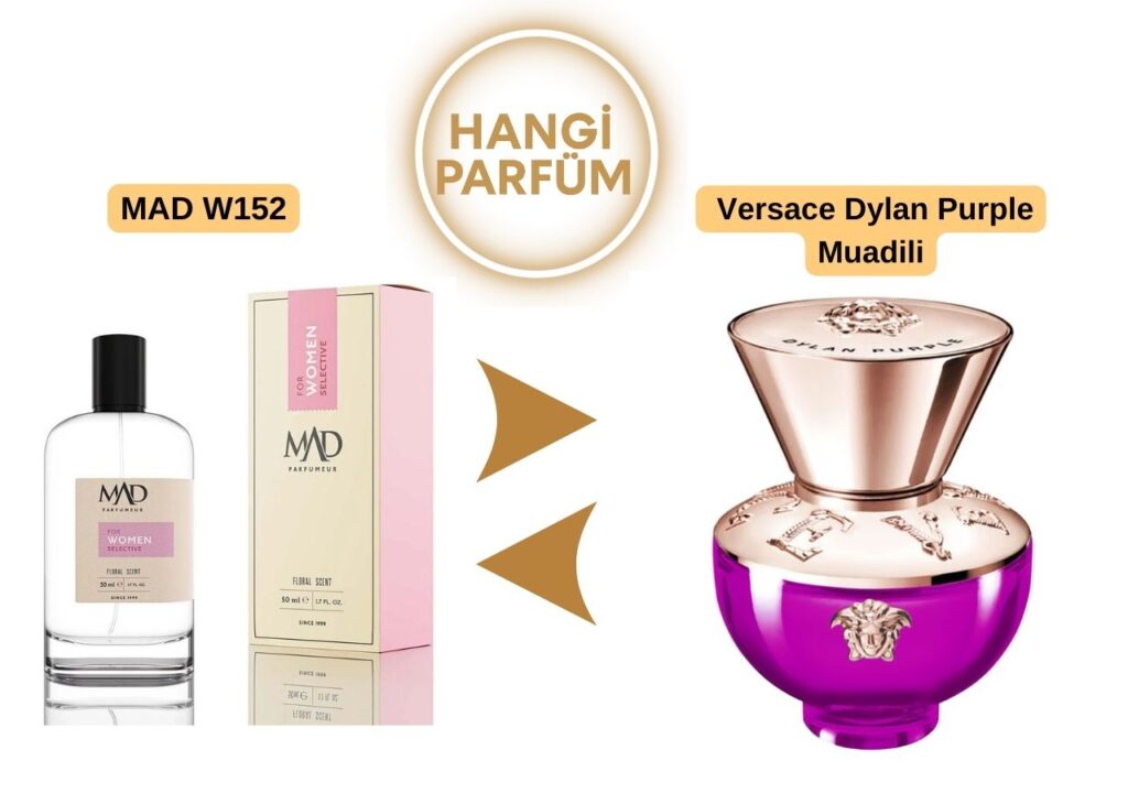 Mad W152 - Versace Dylan Purple Muadili