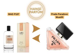 Mad P107 – Prada Paradoxe Muadili