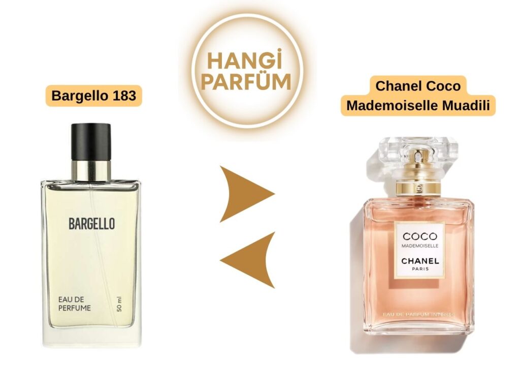 Bargello 183 – Chanel Coco Mademoiselle Muadili