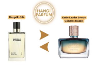 Bargello 334 – Estée Lauder Bronze Goddess Muadili