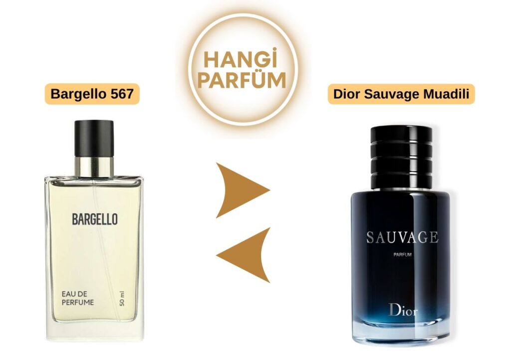 Bargello 567 – Dior Sauvage Muadili