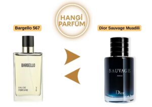 Bargello 567 – Dior Sauvage Muadili