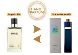 Bargello 110 – Dior Addict Muadili