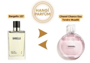 Bargello 137 – Chanel Tendre Muadili