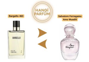 Bargello 463 – Salvatore Ferragamo Amo Muadili