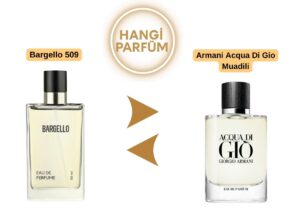 Bargello 509 – Armani Acqua Di Gio Muadili