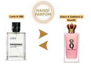 Loris K-288 – Dolce & Gabbana Q Muadili