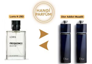 Loris K-293 - Dior Addict Muadili