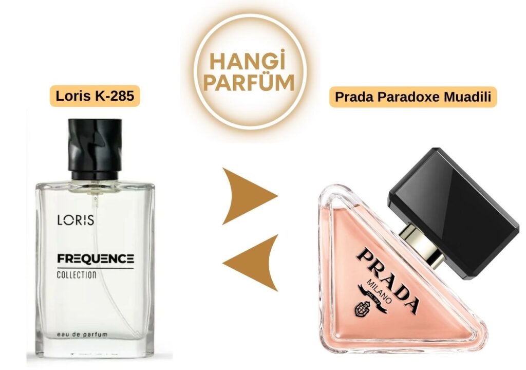 Loris K-285 – Prada Paradoxe Muadili