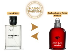 Loris K-001 – Cacharel Amor Amor Muadili