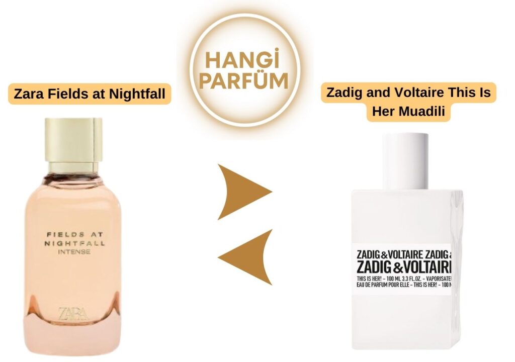 Zara Fields at Nightfall – Zadig and Voltaire This Is Her Muadili