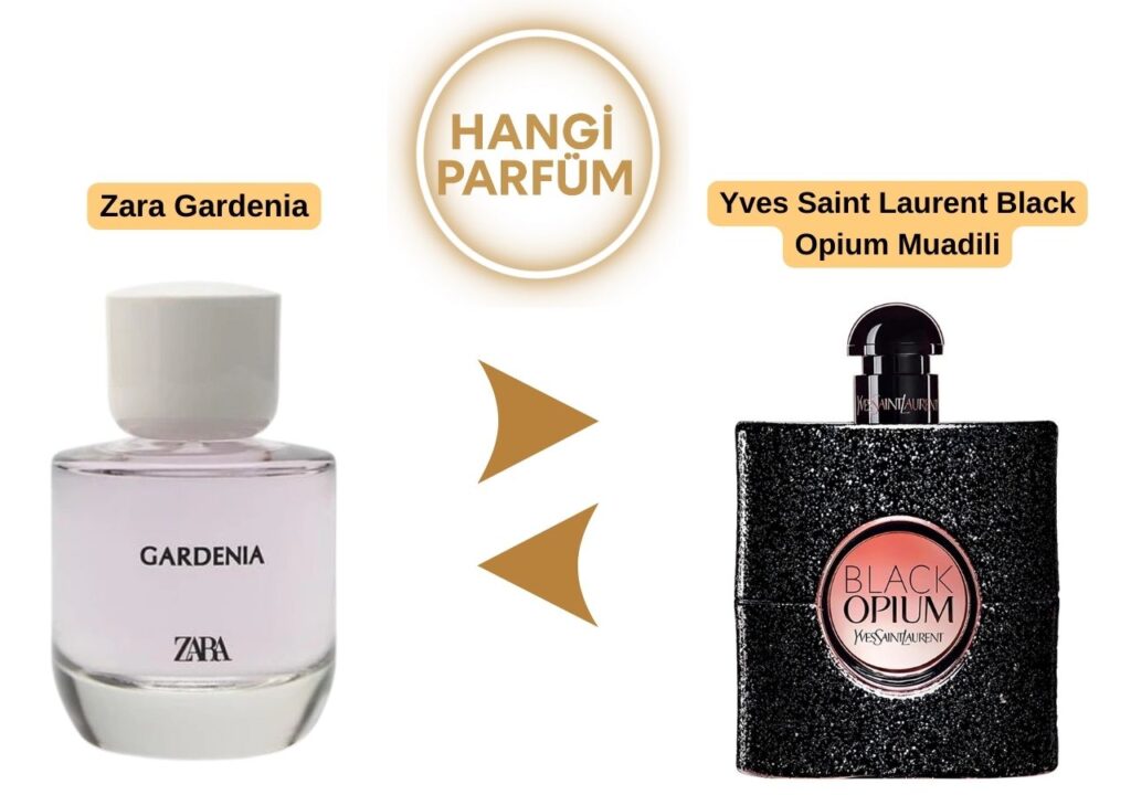 Zara Gardenia – Yves Saint Laurent Black Opium Muadili