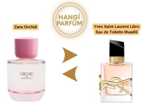 Zara Orchid – Yves Saint Laurent Libre Eau de Toilette Muadili