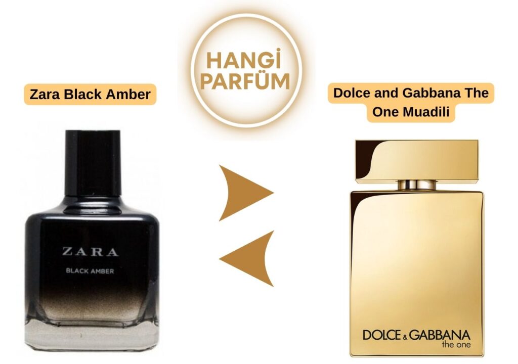 Zara Black Amber – Dolce and Gabbana The One Benzeri