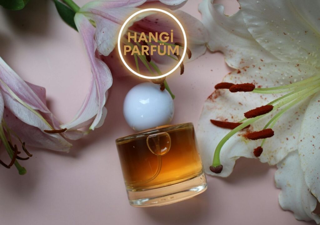 EDP EDT farkı nedir?