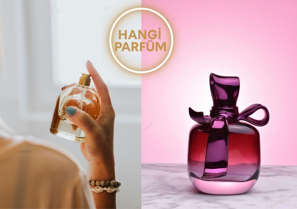EDP EDT farkı nedir?