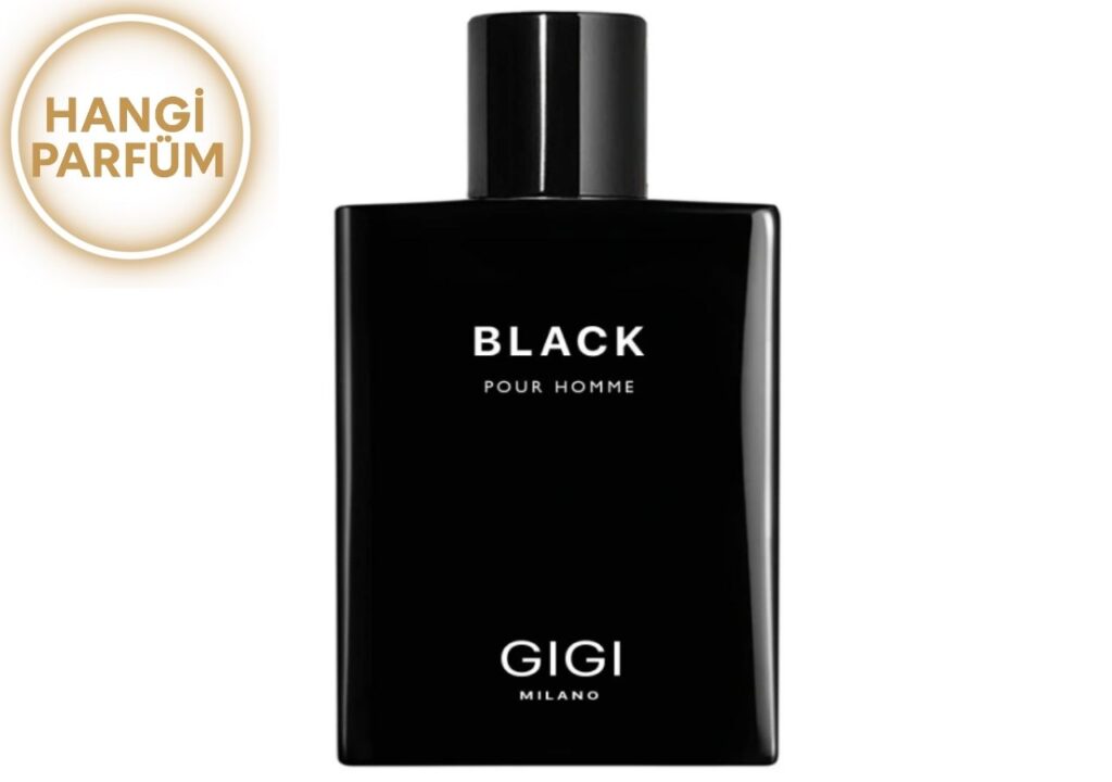 Gigi Milano Black Pour Homme 50 ml EDP erkek parfüm