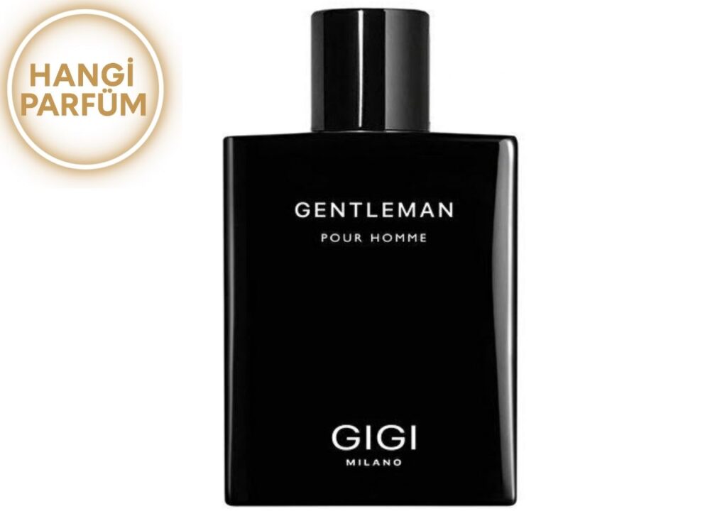Gigi Milano Gentleman Pour Homme